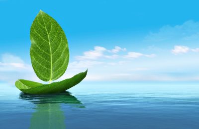 Sustainable shipping concept photo of leaves forming a sailing ship design on the water